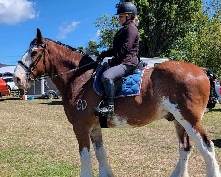 5 Tips For A Better Fitting Bra: From an Equestrian and Bra Fitter